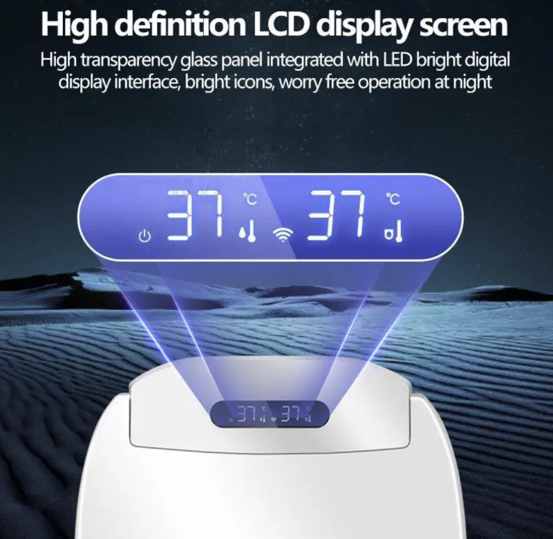 Digital display screen with temperature and icons