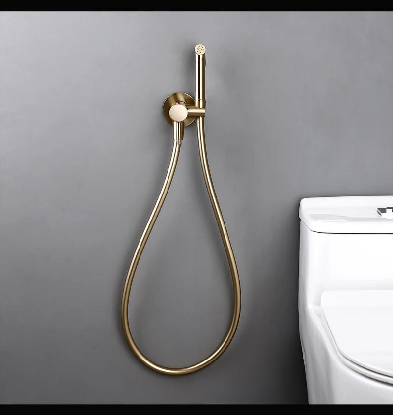 Gold shower head and hose mounted on a gray wall next to a white toilet.